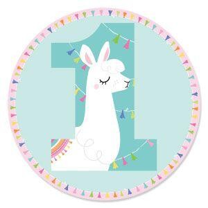 1st Birthday - Whole Llama Fun - Llama Fiesta First Birthday Party Theme
